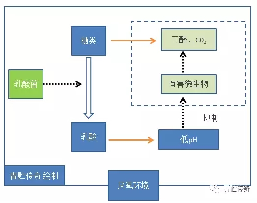 BaiduHi_2018-8-20_18-3-54